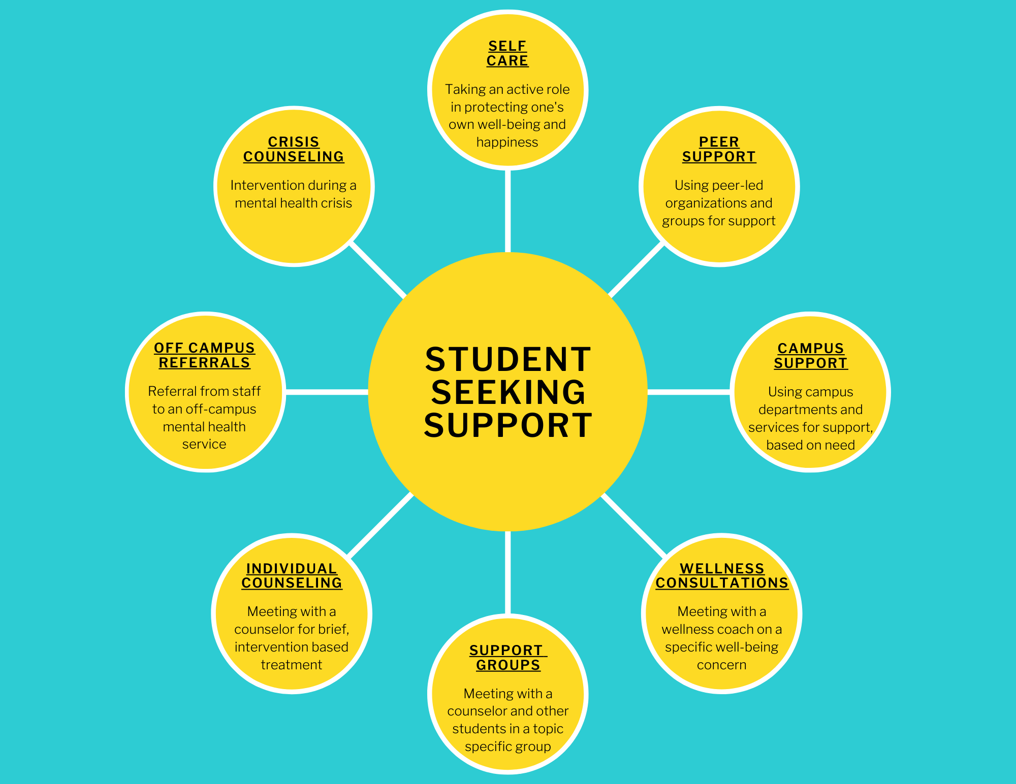 Care Model – Student Well-Being | Missouri S&T