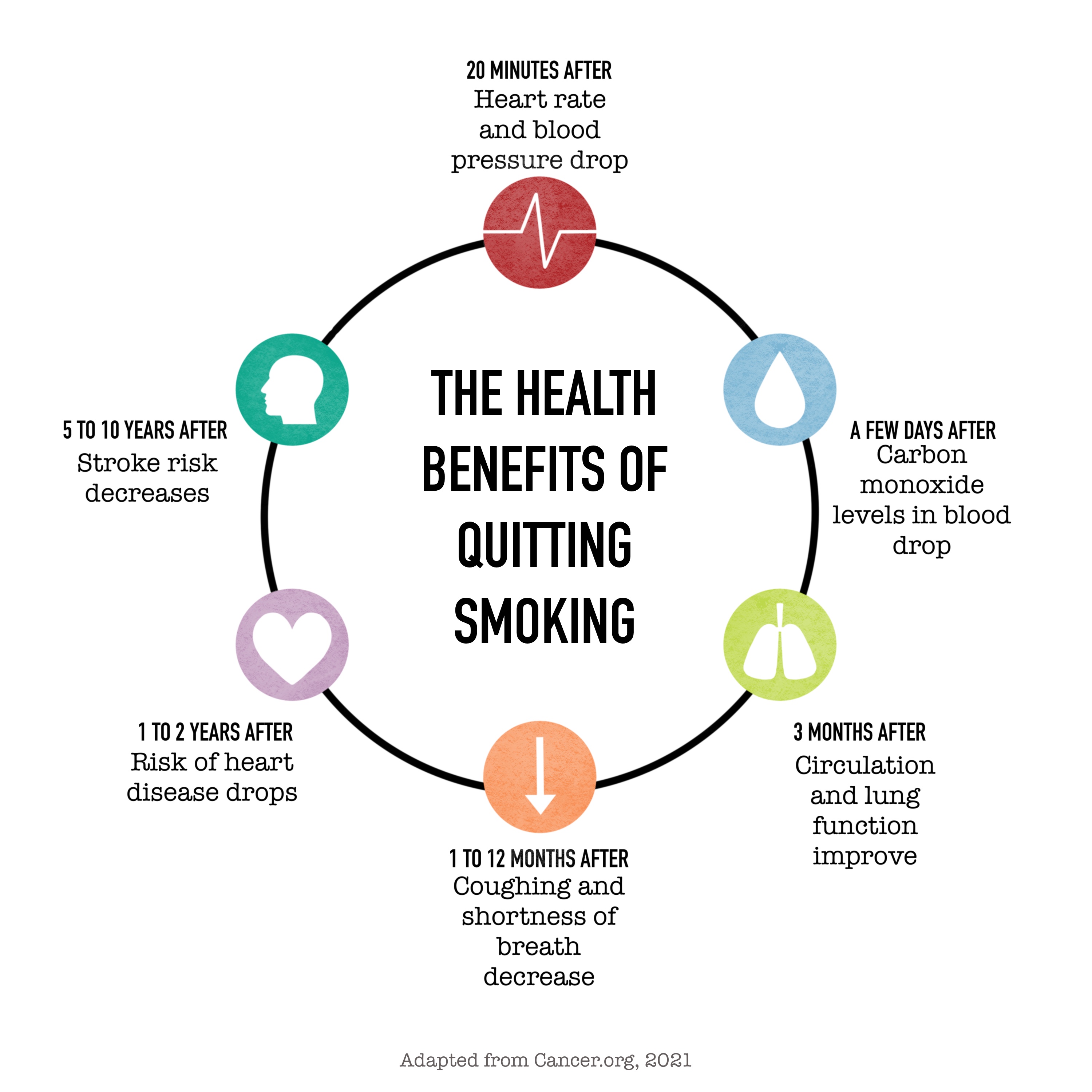 nicotine-structure